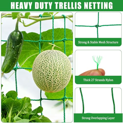 6.6x32.8FT Trellis Netting for Climbing Plants,Trellis Netting with Plant Clips, Heavy-Duty PE Trellis Net for Cucumber, Tomato, Vegetables, Fruits, Sweet Pea Plants - size: 6.6x32.8FT