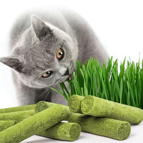 30g Cat Grass Sticks, Freeze Dried Cats Grass Teething Stick, Edible Cat Chew Toy for Teeth Cleaning Dental Health and Hairball Removal