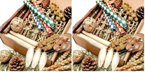 Hamster Toys Box for Chewing&Teeth Grinding Natural Hamster Treats for Chinchilla Rat Hamster Bunny and Other Small Pets (Small) (Pack of 2) - size: Small (Pack of 2)