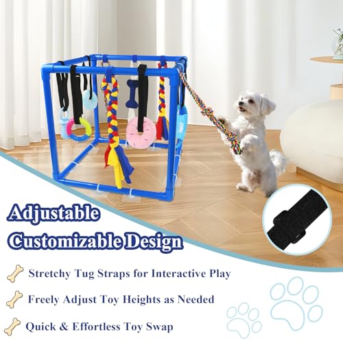 ASOCEA Puppy Play Gym for Small Dogs – Interactive Jungle Gym with 10 Hanging Toys, Adjustable Height, Safe PVC Frame for Indoor Puppy Entertainment, Teething & Mental Stimulation