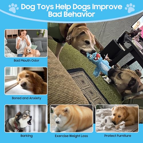 No Stuffing Squeaky Dog Toys Plush Chew toys for Small Medium Large Breed - style: 6 pack