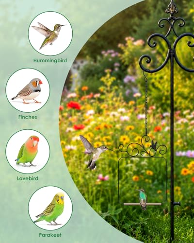 PACETAP Hummingbird Swings and Perches Metal Frame 2 Pack, Wild Bird Swing Outdoor Bird Perch with Wooden Dowel and 2 Hanging Chain for Hanging Indoor, Outdoor, Trunk, Lawn, Patio, Garden (Black) - size: 2 Pack Simple