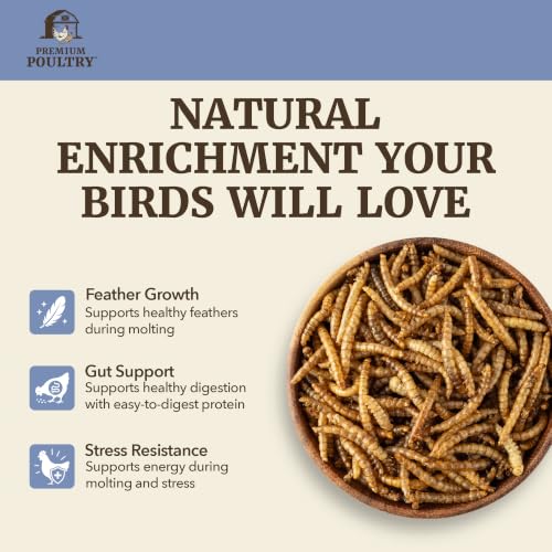 Mealworms for Chickens & Wild Birds,10 Lb - size: 10lb, style: Meal Worms