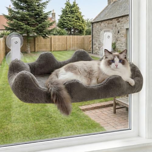 Homegroove Cat Window Perch, 24 x 12 Inch Foldable Cat Hammock for Window with 4-Sided Bolster & 4 Large Suction, Cloud Shape Cordless Window Bed for Indoor Cats (Gray, Large(24'' x 12'')) - color: Gray