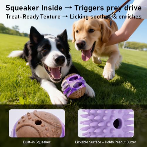 MECOOL 2PCS Durable Dog Chew Toys, Squeaky Chew Ball & Treat Dispensing Toy, Tough Nylon Ends & Natural Rubber for Aggressive Chewers, Interactive Puzzle Toys for All Breed Dogs,Bacon Flavored,Purple - color: Purple