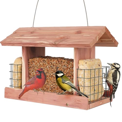 Solution4Patio Squirrel-Proof Cedar Hopper Bird Feeder, Dual Suet Holder - style: Rectangle
