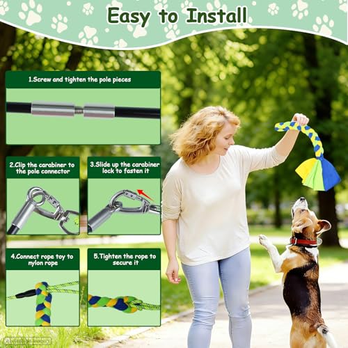 Flirt Pole for Dogs Heavy Duty, Interactive Chase & Tug of War Wand - color: green