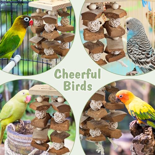 PINVNBY Bird Toys Parrot Toys, Natural Wood Bird Chewing Toys, Parakeet Hanging Toys for African Grey Macaws Cockatoos Eclectus Small and Medium Parrots(with Coconut Shell) - size: D: With Coconut Shell