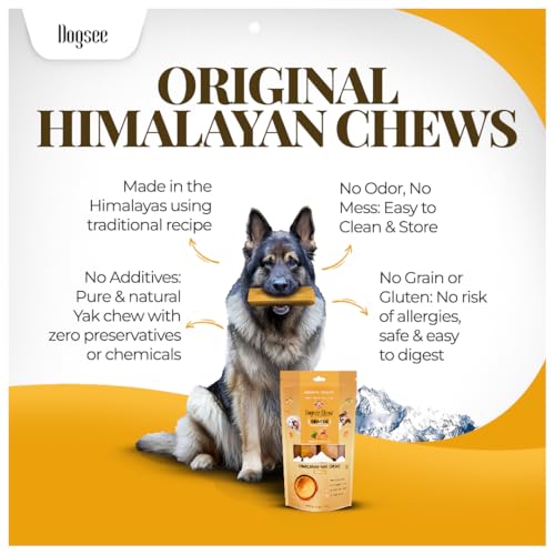 Dogsee Yak Chews for Dogs with Turmeric 1lb (Large - 4 Bars) 100% All Natural Treats for Large Breed Dog Chews Long Lasting for Joint Inflammation, 60% Protein Dental Sticks