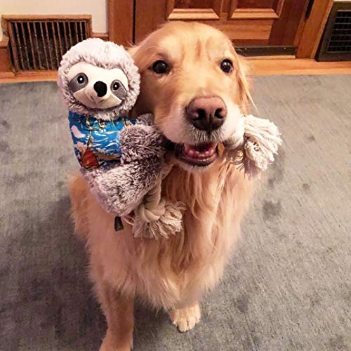 Fringe Studio Dog Toy, Slown' Dwn for Summer Sloth Pet Toy (289318) - color: Slown' Dwn for Summer