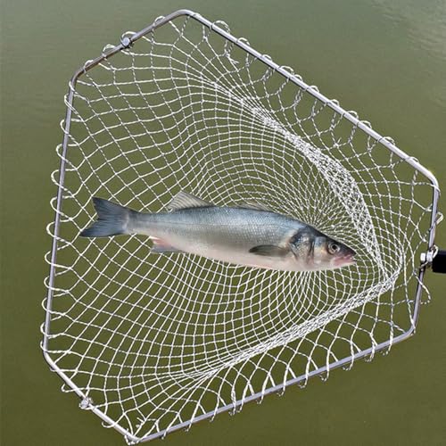 Chicken Catching Net 2 Pcs, Bird Catching Net, 32" to80 Animal Catching Net