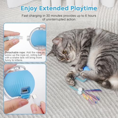 Interactive Cat Toys for Indoor Cats & Dogs, Agile Moving Cat Ball with Elastic Mesh Tail, Rechargeable Enrichment Toys, Smart Automatic Rolling Pet Ball Toys for Bored Indoor Dogs & Cats (Blue)