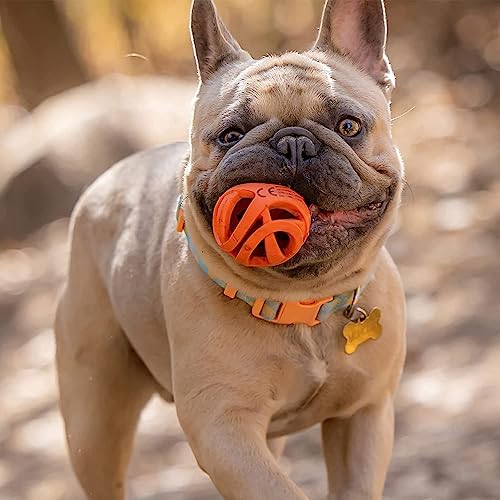 Chuckit! Air Fetch Dog Toy,(2 Inch Diameter), for Dogs 0-20 lbs, Ball - Small (Pack of 12) - size: Ball - Small (Pack of 12)