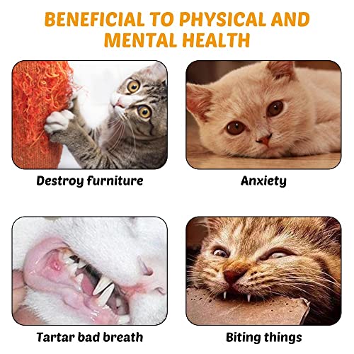 DONGKER Cat Teaser Wand,Retractable Kitten Fishing Pole Toy for Cat Kitten Reduce Boredom(Not Include Replacement)
