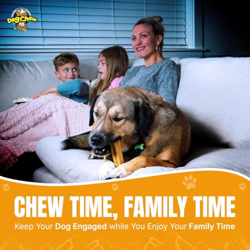 Tibetan Dog Chew Yak Cheese Sticks - Natural Handmade Treats for Small Dogs, Long-Lasting, Easy to Digest with No Additives, Rawhide, Grains, or Gluten, Perfect for Aggressive Chewers, 12 Chews - size: 1 Ounce (Pack of 12)