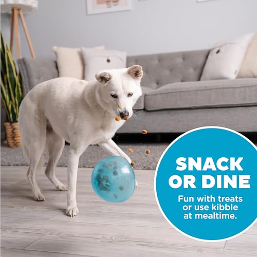 Outward Hound Snoop Interactive Treat Dispensing Dog Toy, Blue, 5" - color: Blue