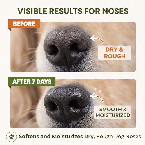 2-Pack Dog Paw Balm Sticks, Lick-Safe Moisturizer for Dry Paws & Nose - color: Two oranges
