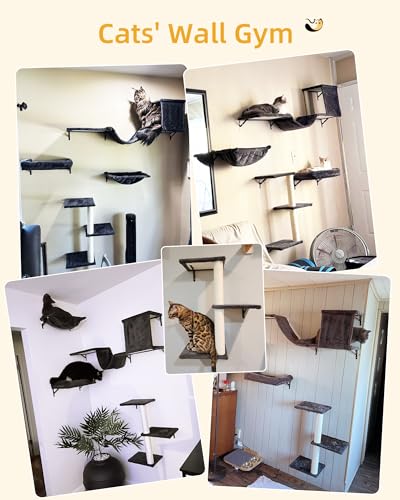 Aechonow Heavy Duty Cat Wall Shelves for Large Cats, 5-in-1 Cat Furniture