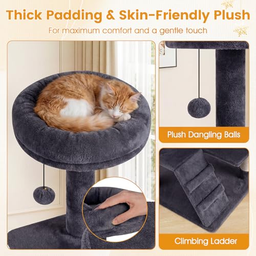 PETSITE 52-inch Cat Tree, Multi-Level Cat Tower with Sisal Scratching Posts, 2 Comfy Condos, Plush Padded Soft Top Perch, Dangling Balls, and Climbing Ladder, Ideal for Indoor Cats (Dark Grey) - color: Dark Grey