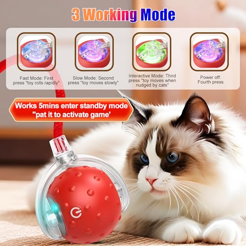 Tiny Fetch Dog Toy, Tinyfetch Interactive Dog Cat Toys Balls with Birdsong, 360° Smart Automatic Rolling Electric Dog Ball Toy, Fast Moving Balls Toys for Pets (Blue) - color: blue