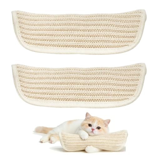 2 PCS Catnip Pillow, Cat nip Pillows, Soft Catnip Pillows for Indoor Cats, Cat Kicker Pillows for Playtime, for Cats with Durable Fabric Construction