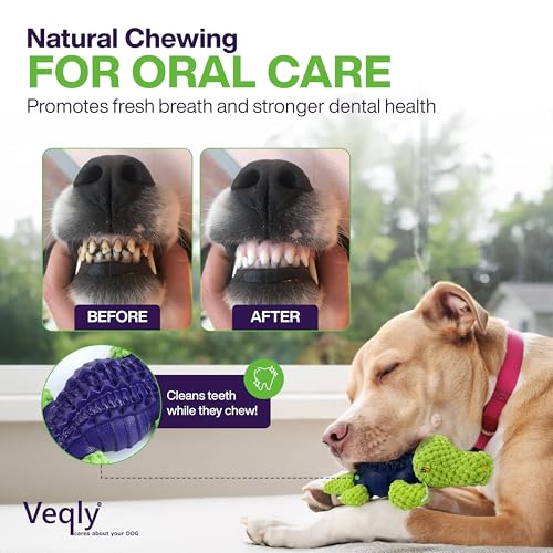 Dog Chew Toys for Small and Medium Breeds, Squeaky Dog Toys Plush, Interactive Dog Toys to Keep Them Busy, Alligator Dog Puzzle Toy, Dogs Dental Chew, Beef Flavored Chew Toy, Dogs Birthday Toy- Green