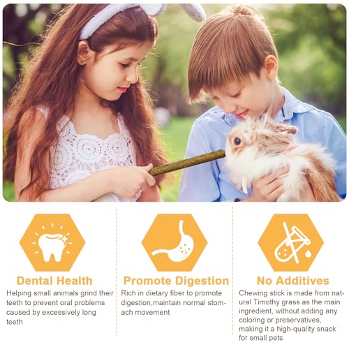 52Pcs Rabbit Chew Sticks, Guinea Pig Toys, Natural Timothy Teeth Stick - size: 52Pack-Sticks