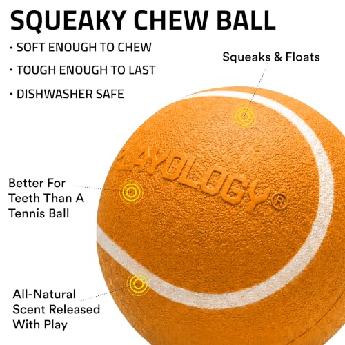 Playology Squeaky Chew Ball Dog Toy - Medium, Cheddar Cheese Scent - size: Medium, style: Cheddar Cheese
