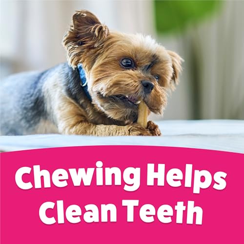 Purina Busy Bone Tiny Toy Breed Dog Chew Treats, Original, 60 ct Pouch - size: 60 Count (Pack of 1)