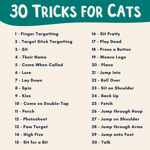 ALBERT & MIA Cat Clicker Training Kit + The Click Crusade Bundle (Cat Training Card Game Guide to Clicker Training for Cats for Teaching Tricks, Improving Communication and Bonding with Your Kitten