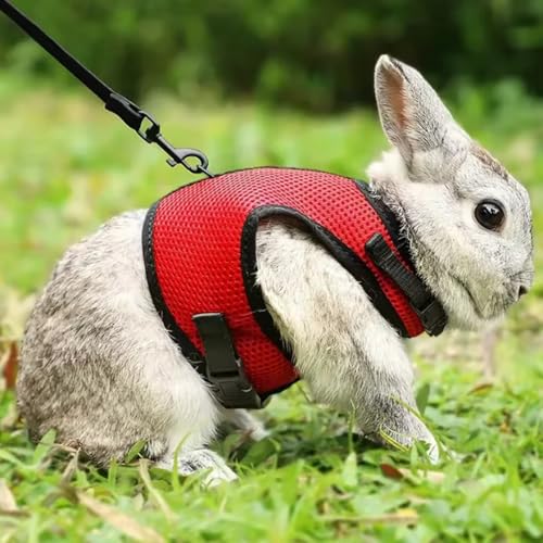 Bunny Harness and Leash Set Escape Proof Rabbit Harnesses Mesh Vest Red M - color: Red, size: M (Neck:5.5"-7" Chest:6.2"-8.5")