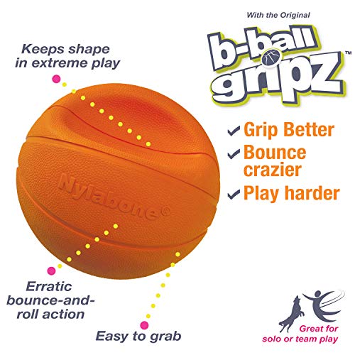 Nylabone Power Play Basketball Gripz Dog Play Toy, Large - size: Large