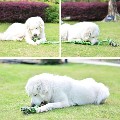 SHARLOVY Dog Toys for Large Dogs and Aggressive Chewers - color: 1 Pack, size: Large