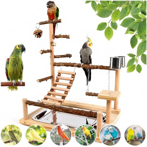 Bird Playground, Parrot Perch Stand, Natural Wood Bird Play Stands for Cockatiel Wood Perch Gym Playpen Ladder with Removable Tray and 2 Stainless Steel Cups, Bird Cage Accessories, Parrot Swing - color: Borown