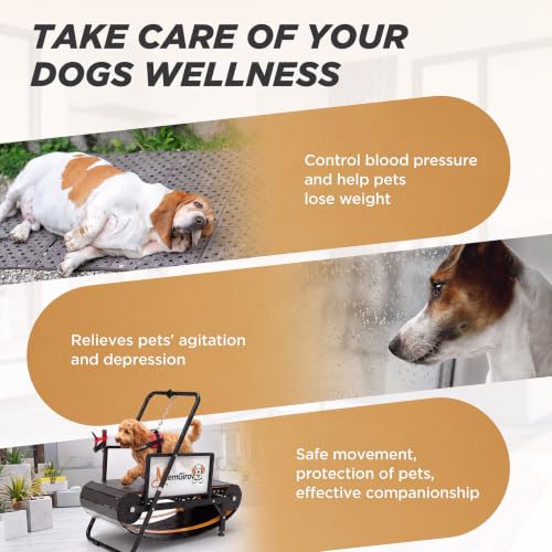 Dog Treadmill, Non-Motorized for Small Medium Dogs, Indoor & Out