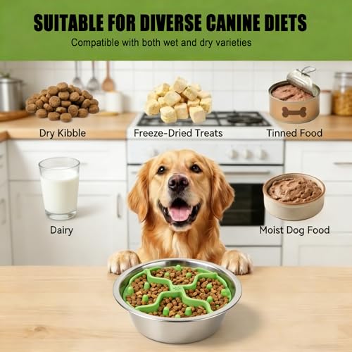 2PCS Slow Feeder Insert for Dog Bowls,Fits 4.7"-7" Bowls - color: Green Blue