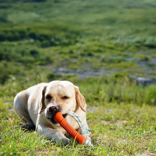 Green Sheep Tug & Enrichment Dog Toy, Interactive Rope Bone Toy with Removable Cotton Rope, Treat Dispensing Natural Rubber Dental Chew Toy for Medium and Large Dogs, Orange - color: Orange Bone With Rope