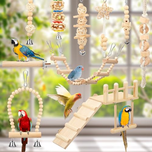 10 Pcs Bird Toys for Parakeets Cage Accessories Parrot Swing Toys