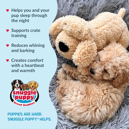 Snuggle Puppy Heartbeat Toy, Calming Comfort, Breed Buddies Goldendoodle - color: Doodle