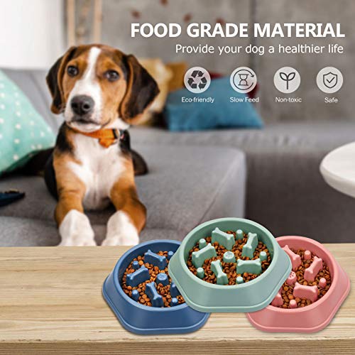 UPSKY Slow Feeder Dog Bowl Anti-Chocking Slower Feeding Pet Puzzle Bowls - color: M-Blue+Pink