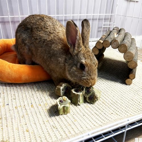 Rabbit Chew Toys for Teeth Guinea Pig Treats Papaya Toy for Bunny (3.5oz) - size: 3.5oz（A）
