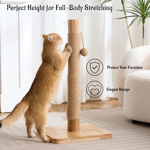 29" Tall Solid Wood Cat Scratching Post for Indoor Cats, Extra Stable Heavy Base, Natural Sisal Scratcher with Hanging Ball, Furniture Protector for Kittens & Adult Cats, Beige - color: Natural