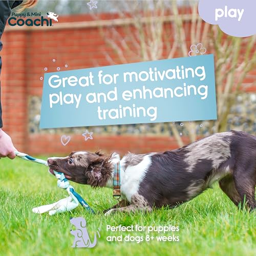 Coachi Puppy & Mini Tuggi Tug - Dog Toy for Tug of War & Play - style: Tuggi Tug