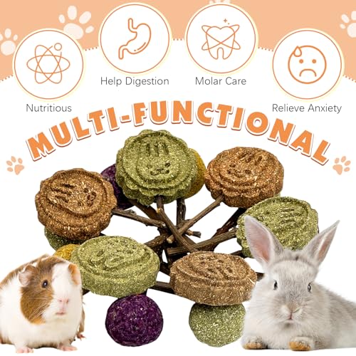 Fhiny Rabbit Chew Toys, 15 PCS Natural Bunny Lollipop Chew Sticks Handmade Guinea Pig Molar Treats for Teeth Small Animals Snacks for Guinea Pig Bunny Chinchilla Hamster Gerbil Teeth Care