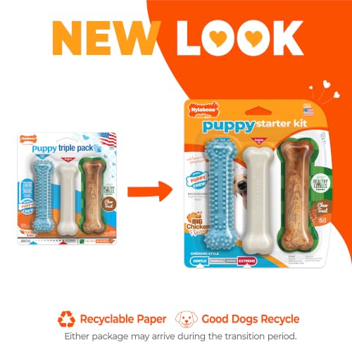 Nylabone New Puppy Starter Kit, Puppy Teething Toys, 3 Pack, Blue - color: Blue, size: Small
