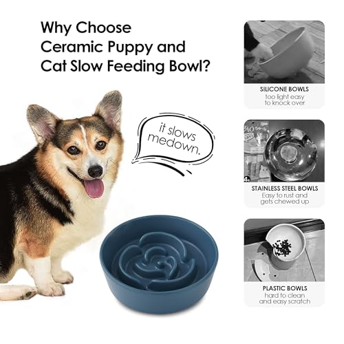Ceramic Slow Feeder Dog Bowl for Small Dogs & Cats, 6 Inch Puzzle Pet Food Dish, Non-Slip Heavy Design, Helps Reduce Fast Eating, Bloating & Indigestion, Dishwasher Safe (Midnight Black) - color: Midnight Black