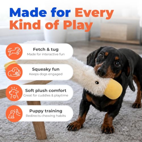 Best Pet Supplies Interactive Squeaky Dog Toy - Crinkle Duck, White - color: Crinkle Duck (White), size: Large