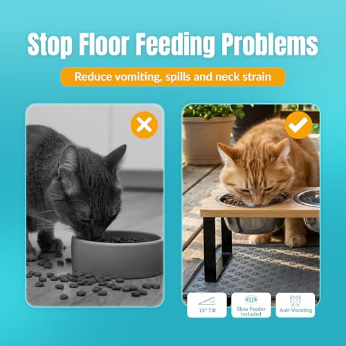 Raised Cat Food Bowls-3 Bowl Elevated Cat Feeding Station with Mat