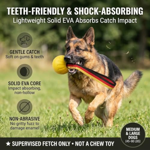 Dog Ball on Strap, Floating EVA Fetch Toy for Large Dogs 45+ lb - size: Large