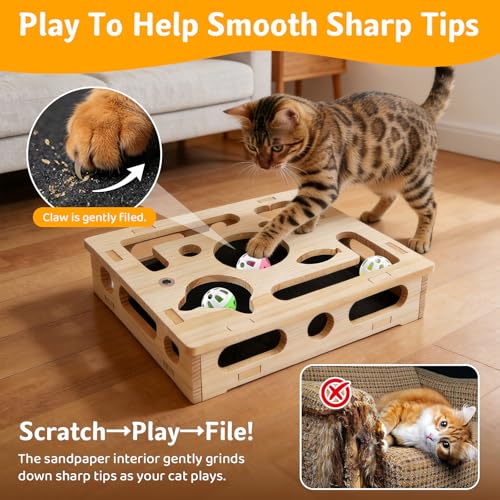 Cat Scratch Puzzle Enrichment Box with 3 Balls & 2 Feather Wands